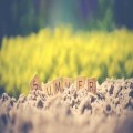 Summer Series 2023 